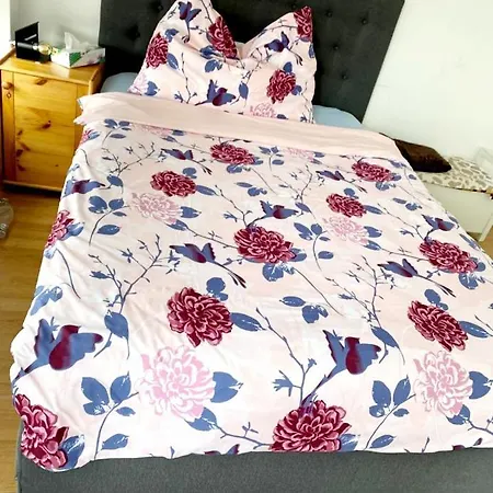 Apartment Kleine Im Zentrum Nahe Marzili
